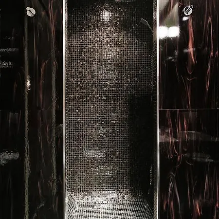 格兰迪萨豪华宫殿酒店 5* 布尔诺